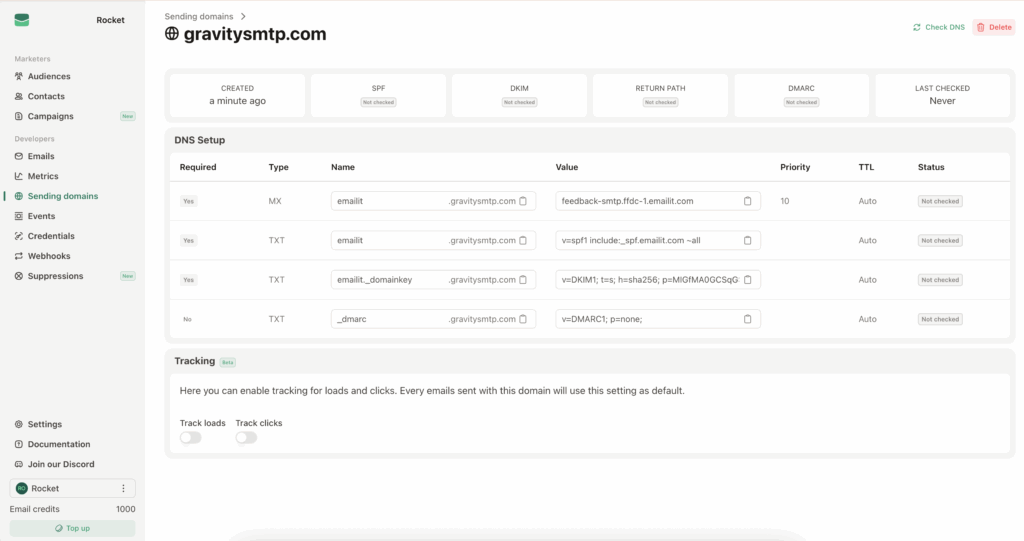 Image showing the EmailIt DNS instructions panel